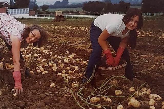 Mrs Smith's Cottage Life on the Land exhibition - potato picking. EMN-210811-152808001