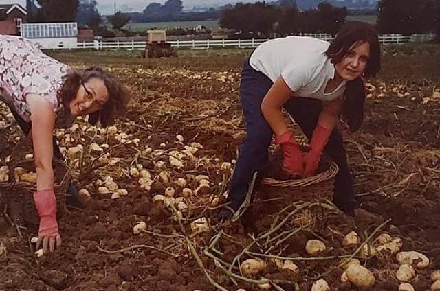 Mrs Smith's Cottage Life on the Land exhibition - potato picking. EMN-210811-152808001