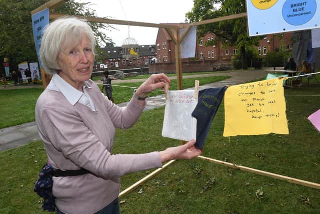 Christine Parker of Sleaford Climate Action Network during an awareness event in town over the summer. EMN-210609-121200001