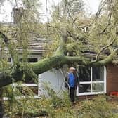 Three trees smashed into the house leaving holes in the roof.