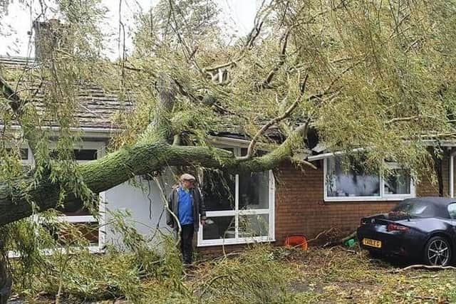 Three trees smashed into the house leaving holes in the roof.