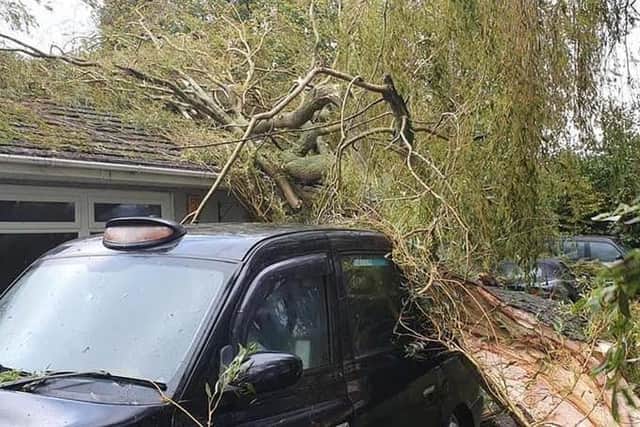 The new taxi bought by the cafe was also destroyed by a falling tree.