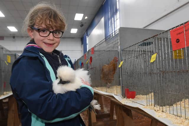 Mia Sharpe 7 of Skellingthorpe with her Silkie Bantan, 2nd prize in Juvenile class EMN-210911-141740001