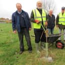 Market Rasen Rotarians captained by Rotarian Strawson, to ensure the 500 trees planted last Winter were ready to go into this winter. EMN-211115-134558001