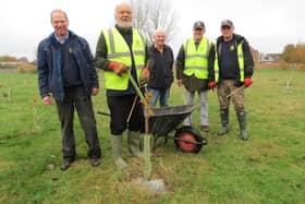 Market Rasen Rotarians captained by Rotarian Strawson, to ensure the 500 trees planted last Winter were ready to go into this winter. EMN-211115-134558001