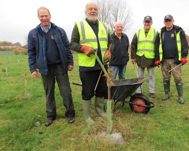 Market Rasen Rotarians captained by Rotarian Strawson, to ensure the 500 trees planted last Winter were ready to go into this winter. EMN-211115-134558001