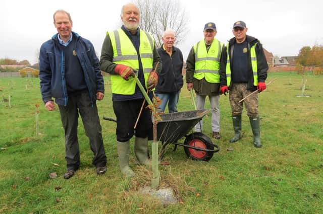 Market Rasen Rotarians captained by Rotarian Strawson, to ensure the 500 trees planted last Winter were ready to go into this winter. EMN-211115-134558001