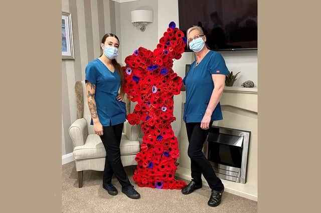 Residents at Meadows Park Care Home in Louth made a fitting tribute to the fallen by creating a solider of poppies.