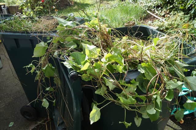 Green bins EMN-211118-085404001