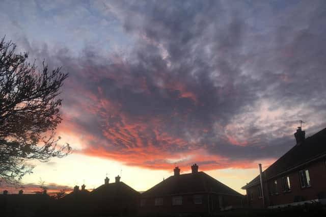 Keep watching the skies ... this week's Reader Picture.