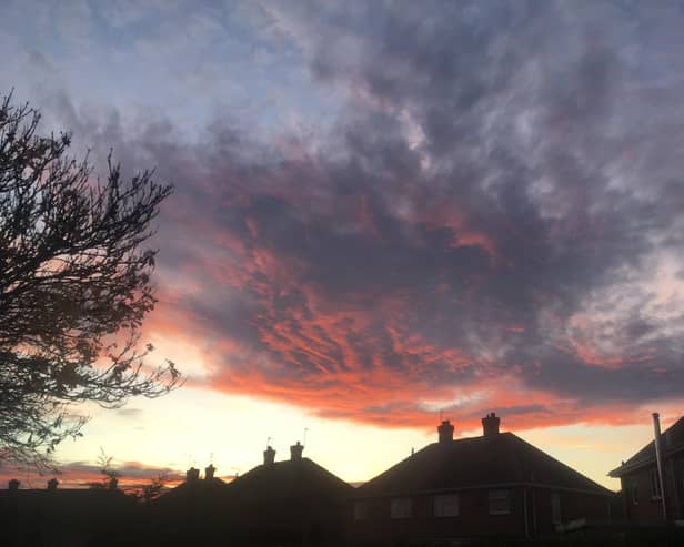 Keep watching the skies ... this week's Reader Picture.