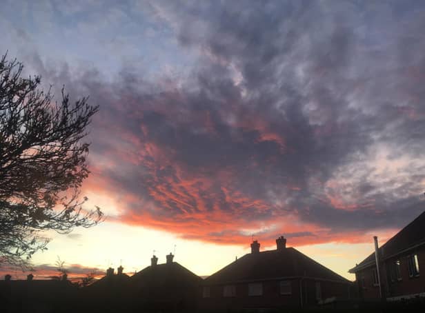 Keep watching the skies ... this week's Reader Picture.
