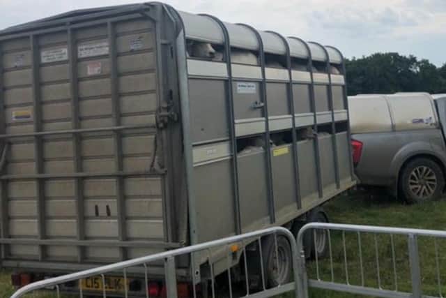 The Ifor Williams livestock trailer stolen from Gelston overnight. There is a year long waiting list for a replacement. EMN-211123-131038001