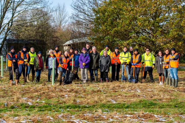 Volunteers planted thousands of trees in Old Bolingbroke. EMN-210112-130311001