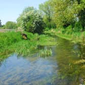 The River Slea, west of Sleaford town centre.