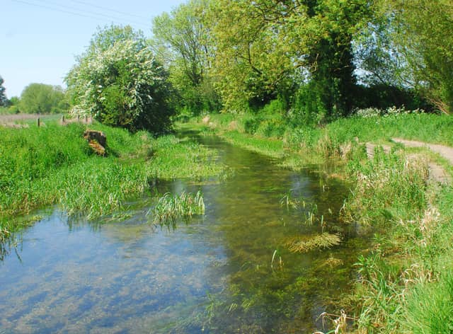 The River Slea, west of Sleaford town centre.