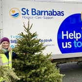 Louise Cotton with trees the hospice has previously recycled.