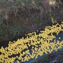 Middle Rasen Duck Race EMN-211223-140406001