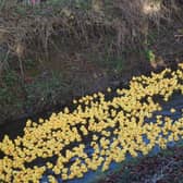 Middle Rasen Duck Race EMN-211223-140406001