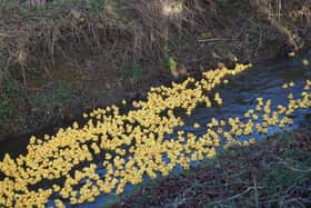 Middle Rasen Duck Race EMN-211223-140406001