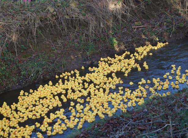 Middle Rasen Duck Race EMN-211223-140406001