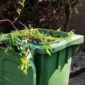 Sign up for green waste collection online  for chance of winning a year’s free subscription.