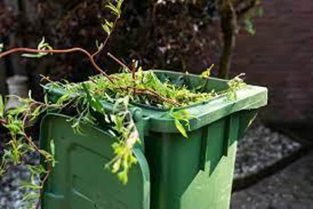 Sign up for green waste collection online  for chance of winning a year’s free subscription.