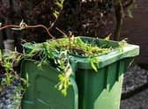 Sign up for green waste collection online  for chance of winning a year’s free subscription.