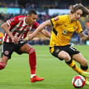 Fabio Silva of Wolverhampton Wanderers is closed down by Kyron Gordon of Sheffield United during the Emirates FA Cup third round match at Molineux. (Photo by Mark Thompson/Getty Images)