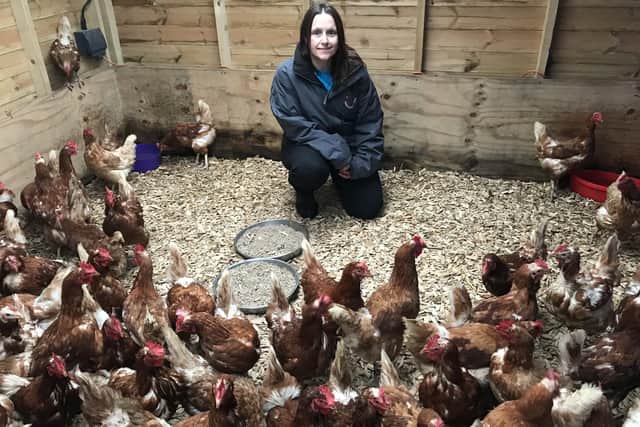Amanda O'Brien with some of her hens EMN-221001-223047001