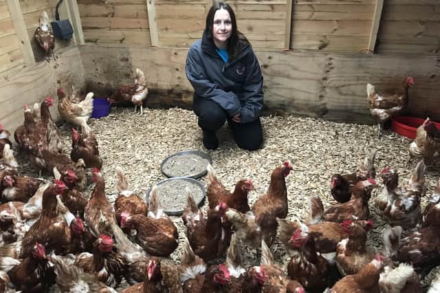 Amanda O'Brien with some of her hens EMN-221001-223047001