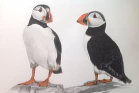 Rose West's artwork is on display at the gallery in Aswell Street, Louth.