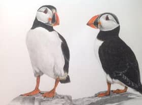Rose West's artwork is on display at the gallery in Aswell Street, Louth.
