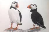 Rose West's artwork is on display at the gallery in Aswell Street, Louth.