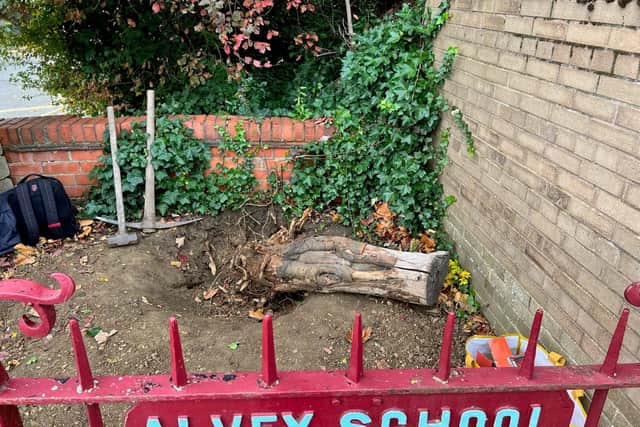 The site being cleared to make way for the new tree at William Alvey School. EMN-221101-162154001
