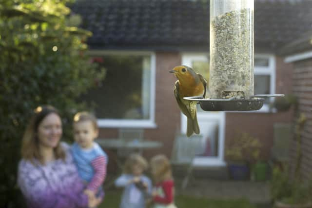 Big Garden Birdwatch returns this Friday.