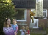 Big Garden Birdwatch returns this Friday.