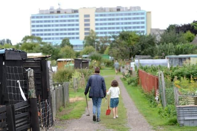 The Willoughby Road allotments in Boston.