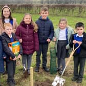 Members of the School Council from Key Stage Two at Ancaster CofE Primary School, helping create the community orchard.