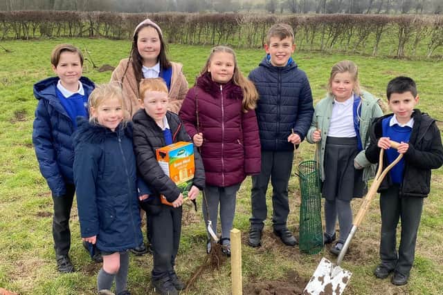 Members of the School Council from Key Stage Two at Ancaster CofE Primary School, helping create the community orchard.