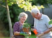 Brits wanting a blooming or edible garden this spring and summer are being offered tips to get ahead on the gardening
