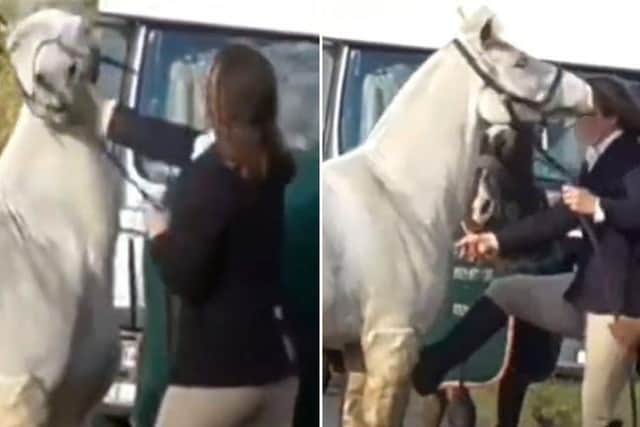 The alleged incident was filmed by Hertfordshire Hunt Saboteurs and watched by thousands on You Tube.