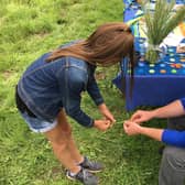 Helping visitors to discover something new is one role of a volunteer at Gibraltar Point.