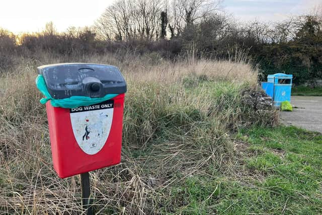 Dog walkers sometimes leave bags under the bins rather than putting them inside.