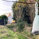 Bags of poo are being left in trees just yards away from bins.