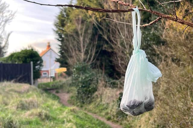 Bags of poo are being left in trees just yards away from bins.