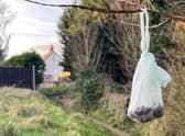 Bags of poo are being left in trees just yards away from bins.