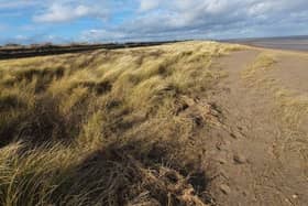 A stretch of Ingoldmells beach is on the market for £50k.