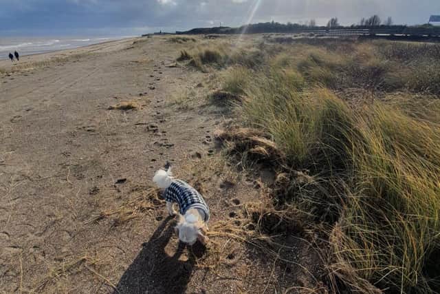 Simon said he loved nothing more than an early morning walk on his beach to enjoy the nature. Now he is giving eight lucky buyers the opportunity to own it.