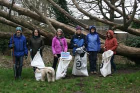 The Plastic Free Sleaford team littering picking in town. EMN-220217-154526001